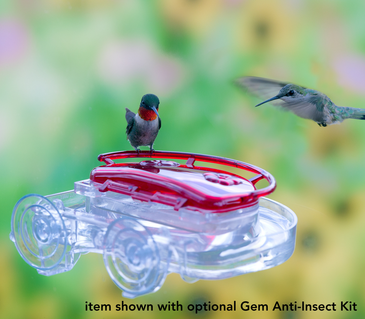 Aspects Gem Window Hummingbird Feeder 4oz.