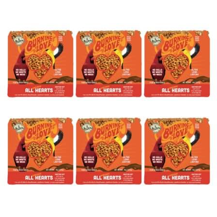 Six packs of Mr. Bird Burning Love Small Cake, hot wing-shaped spicy snacks for bird feeding, repels squirrels, with sunflower hearts and capsaicin.