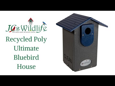 JCS Wildlife Ultimate Bluebird House - Mounting Pole Bundles Available!