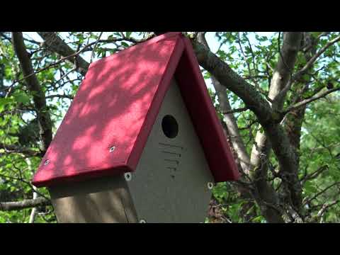 JCS Wildlife Wren, Chickadee, and Warbler Chateau Birdhouse