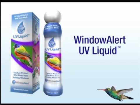 Window Alert NEW UV Liquid 1oz Bottle