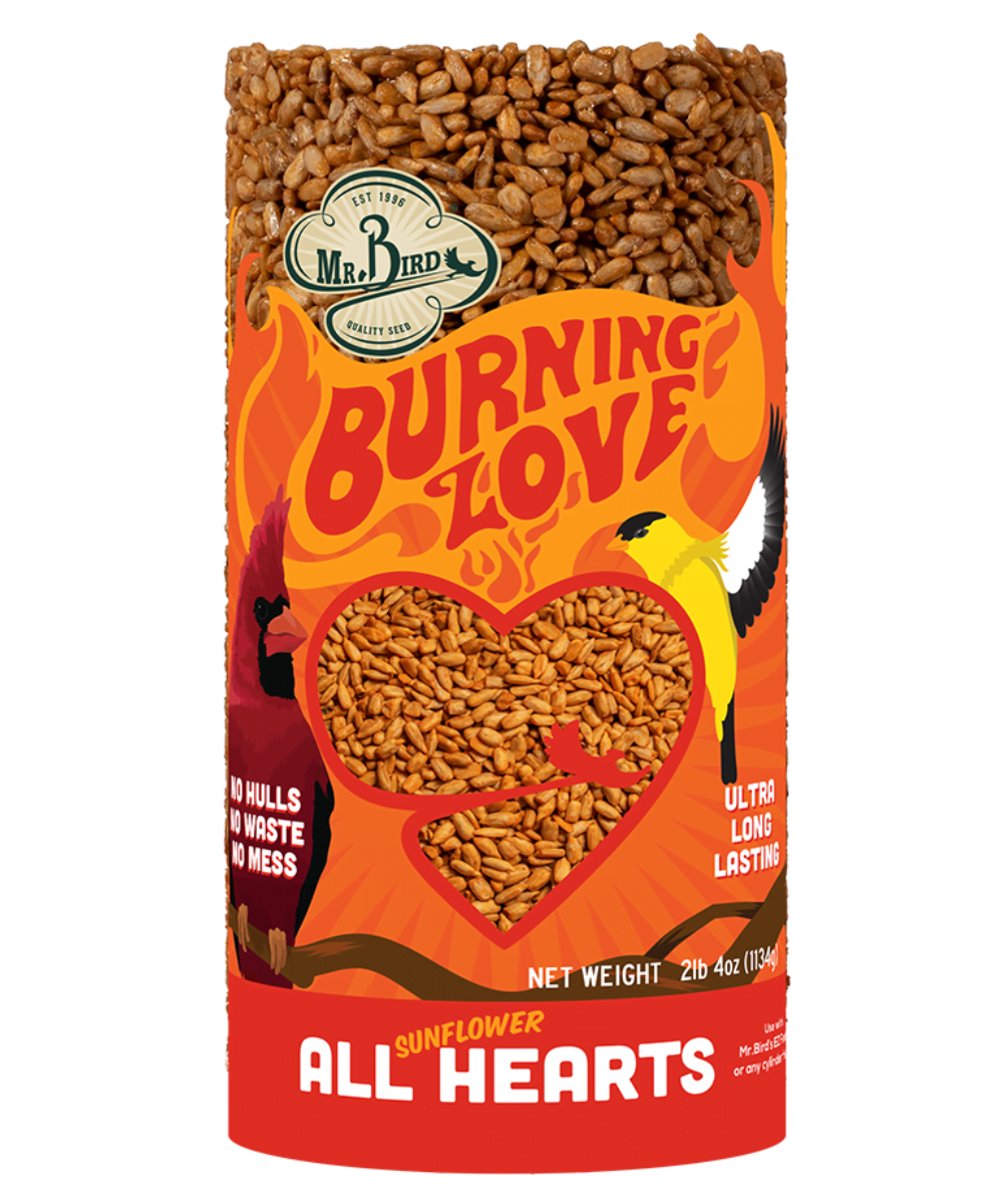 Mr. Bird Burning Love Cylinder Small