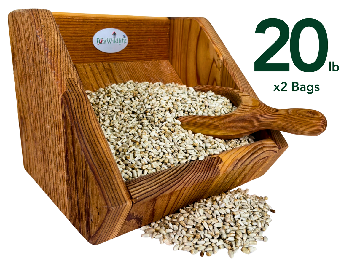 JCS Wildlife 20 Pound Safflower