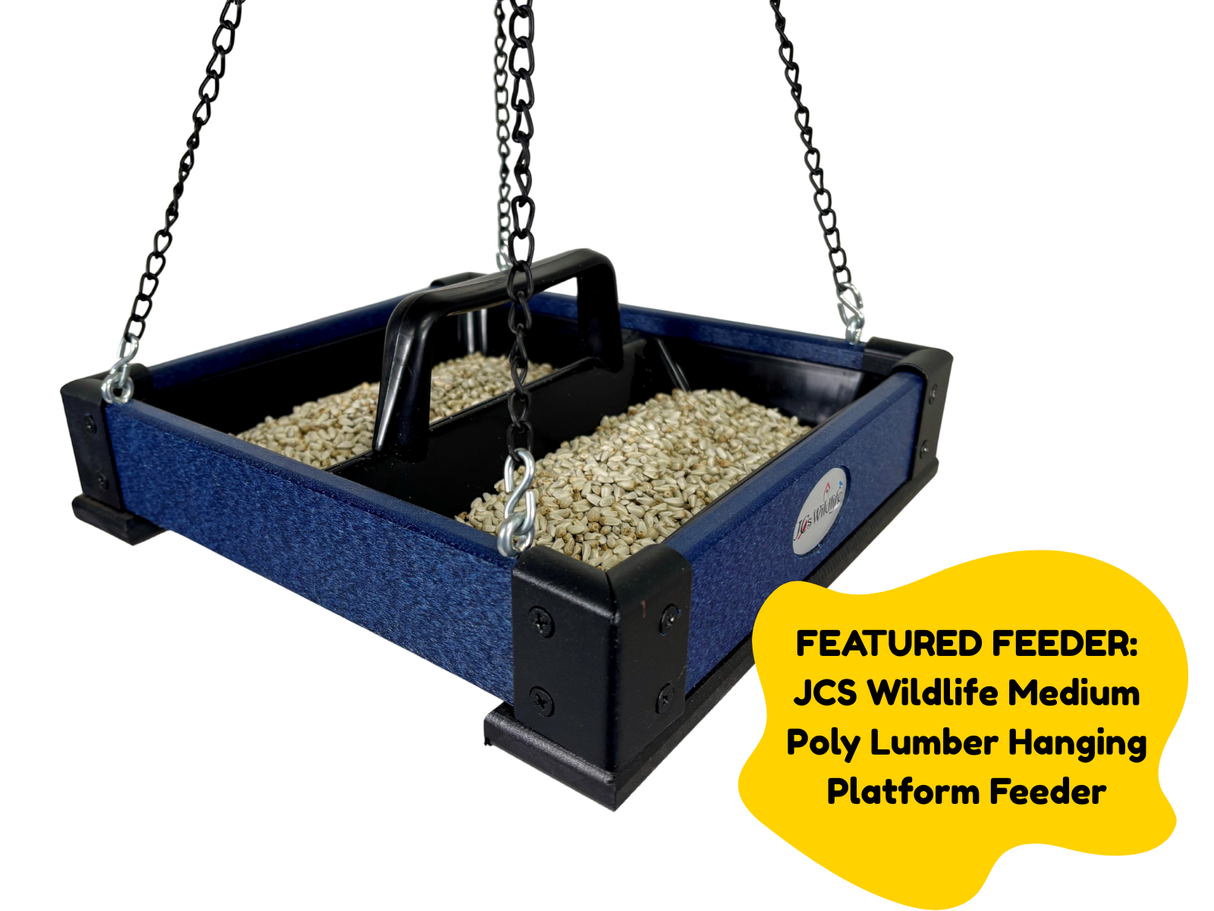 JCS Wildlife 20 Pound Safflower