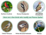 JCS Wildlife 20 Pound Peanut Splits