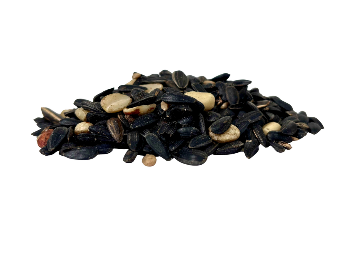 JCS Wildlife Songbird Medley 5lb Loose Seed Bag