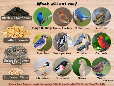 JCS Wildlife Songbird Medley 5lb Loose Seed Bag