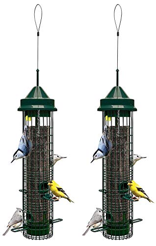 Squirrel Buster Classic wild bird feeder, 2 pack, with 4 feeding ports, attracting various clinging and perching birds, 32" height, chew-proof design