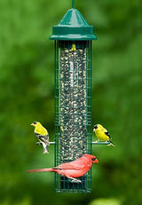 Squirrel Buster Classic bird feeder with 4 feeding ports, filled with seeds, hanging outdoors with colorful birds perched and feeding.