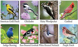 Various bird species including American Gold Finch, Chickadee, Hairy Woodpecker, Cardinal, Indigo Bunting, Rose-Breasted Grosbeak, White-Breasted Nuthatch, and Purple Finch