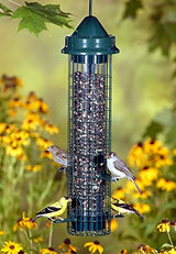 Squirrel Buster Classic wild bird feeder with 4 feeding ports and various birds feeding, surrounded by yellow flowers.