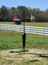 Squirrel Stopper Sequoia Squirrel Proof Bird Feeder Pole System with 4 hanging stations in a backyard setting