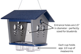 JCS Wildlife Ultimate Enclosed Bluebird Feeder- Keeps Starlings and Bully Birds Out - Holds 2 Cups Dried Mealworms