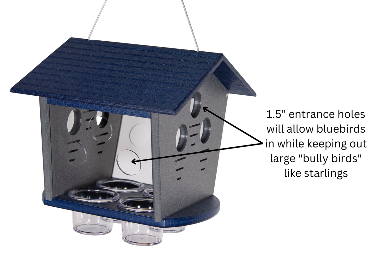 JCS Wildlife Ultimate Enclosed Bluebird Feeder- Keeps Starlings and Bully Birds Out - Holds 2 Cups Dried Mealworms