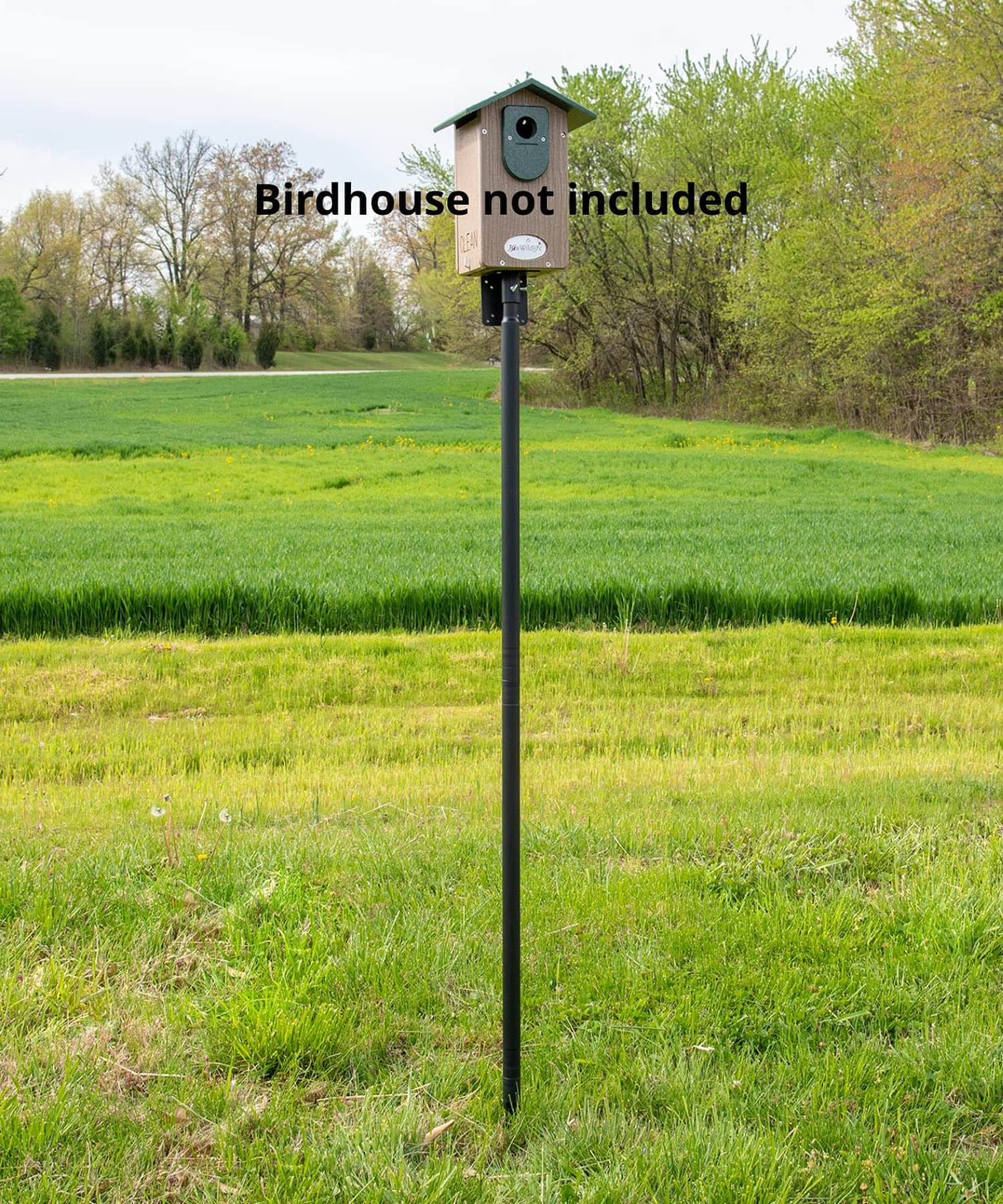 Universal mounting pole kit set up in grassy field without birdhouse, showcasing heavy-duty design for bird feeders or bird houses.