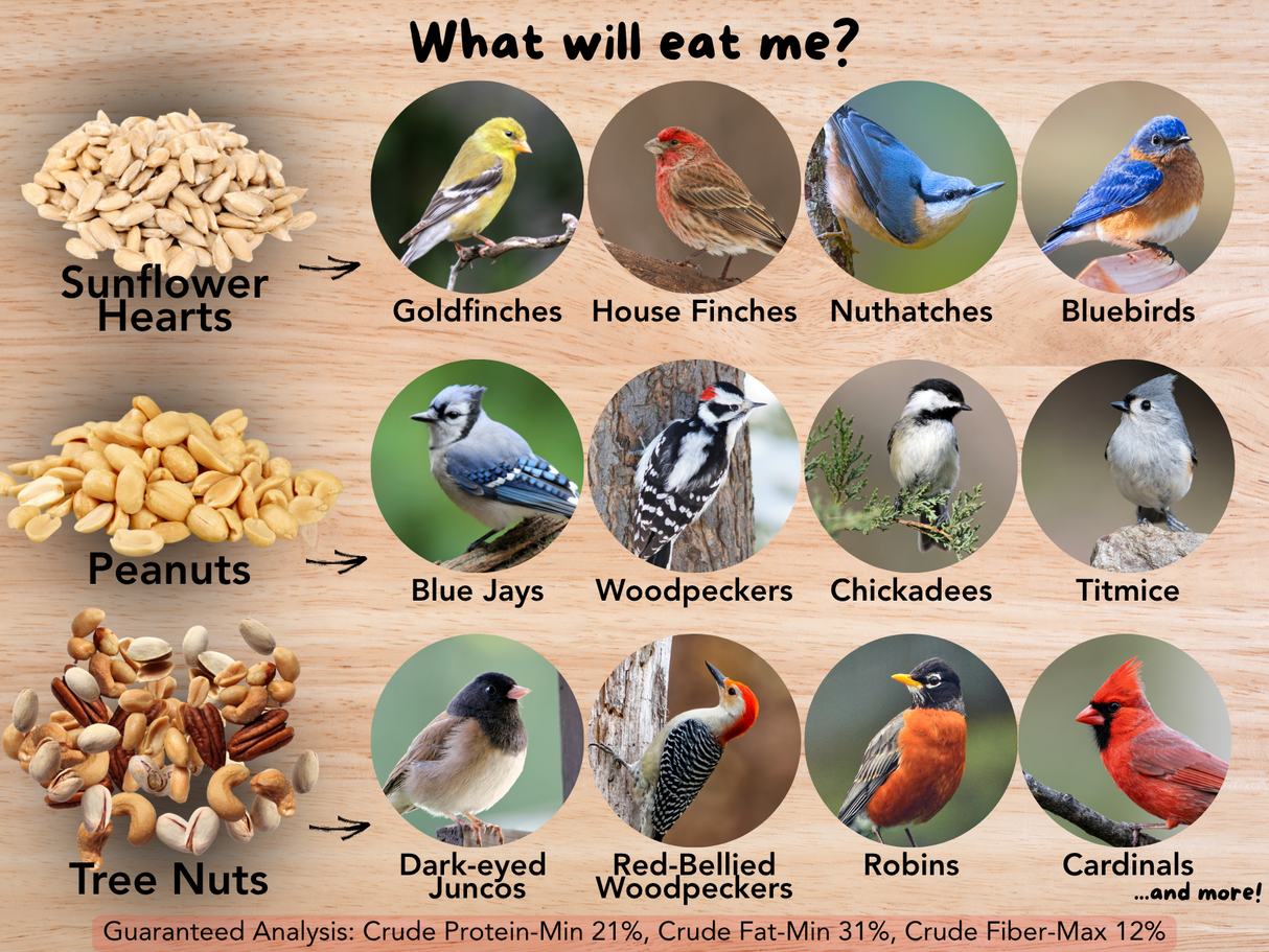 JCS Wildlife Just the Meats 5lb Loose Seed Bag