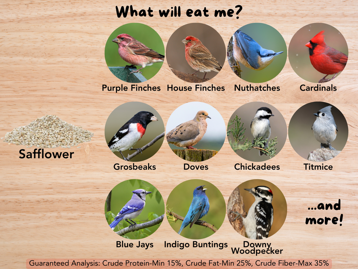 JCS Wildlife 20 Pound Safflower