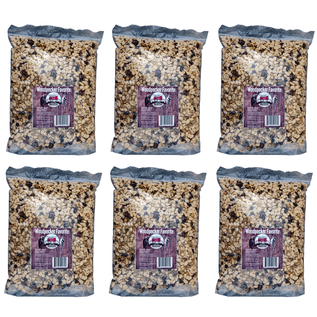 Six bags of JCS Wildlife Woodpecker Favorite 5lb Loose Seed Mix with suet, nuts, and dried fruit for woodpeckers and other bird species