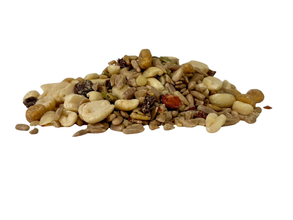 JCS Wildlife Woodpecker Favorite 5lb Loose Seed Bag