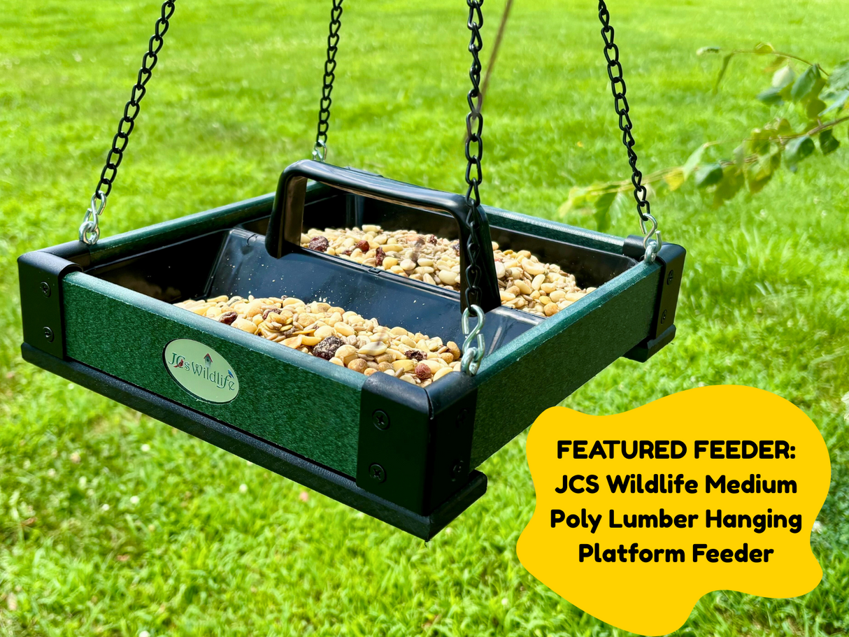 JCS Wildlife Woodpecker Favorite 5lb Loose Seed Bag
