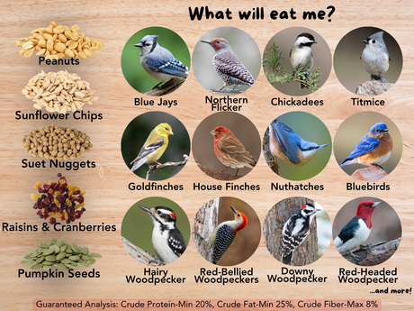 JCS Wildlife Woodpecker Favorite 5lb Loose Seed Bag