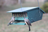 Audubon Original Bird's Choice Squirrel-Resistant Feeder Green Woodlink Delight 7511 - JCS Wildlife