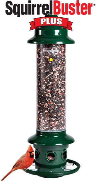 Brome 1024 Squirrel Buster Plus Bird Feeder and Pole Adapter Kit - JCS Wildlife