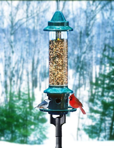 Brome 1024 Squirrel Buster Plus Bird Feeder and Pole Adapter Kit - JCS Wildlife