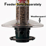 Brome Squirrel Buster Plus Weatherguard 1026 - Clear - JCS Wildlife