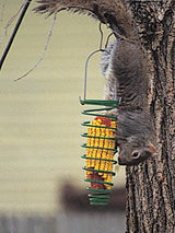 Heritage Farms Corn Trapper Squirrel Feeder 75530 - JCS Wildlife