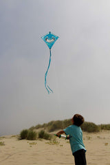 In The Breeze 30 LB x 500' Twisted Kite Line on Spool - JCS Wildlife