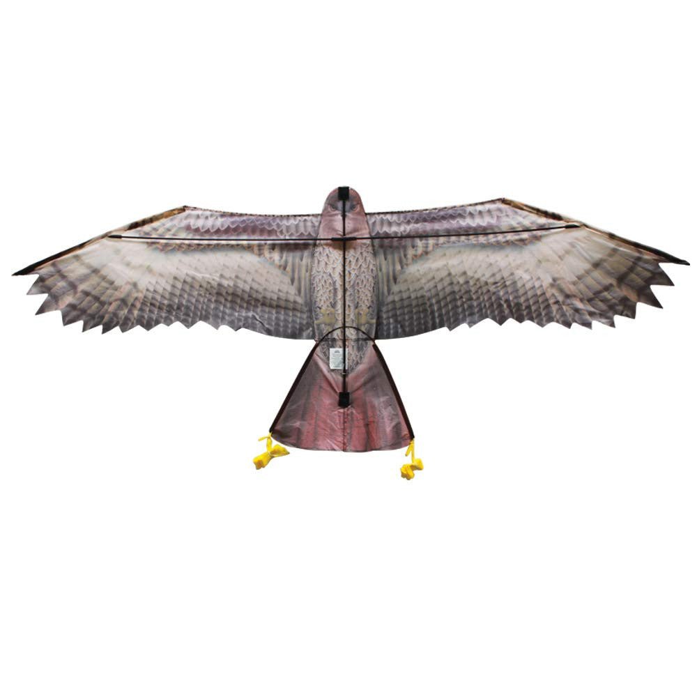 In The Breeze 3D Supersize Hawk Kite - JCS Wildlife