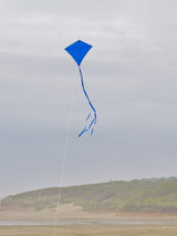 In the Breeze Blue Colorfly 30" Diamond Kite - JCS Wildlife