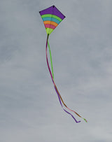 In the Breeze Neon Arch 27" Diamond Kite - JCS Wildlife