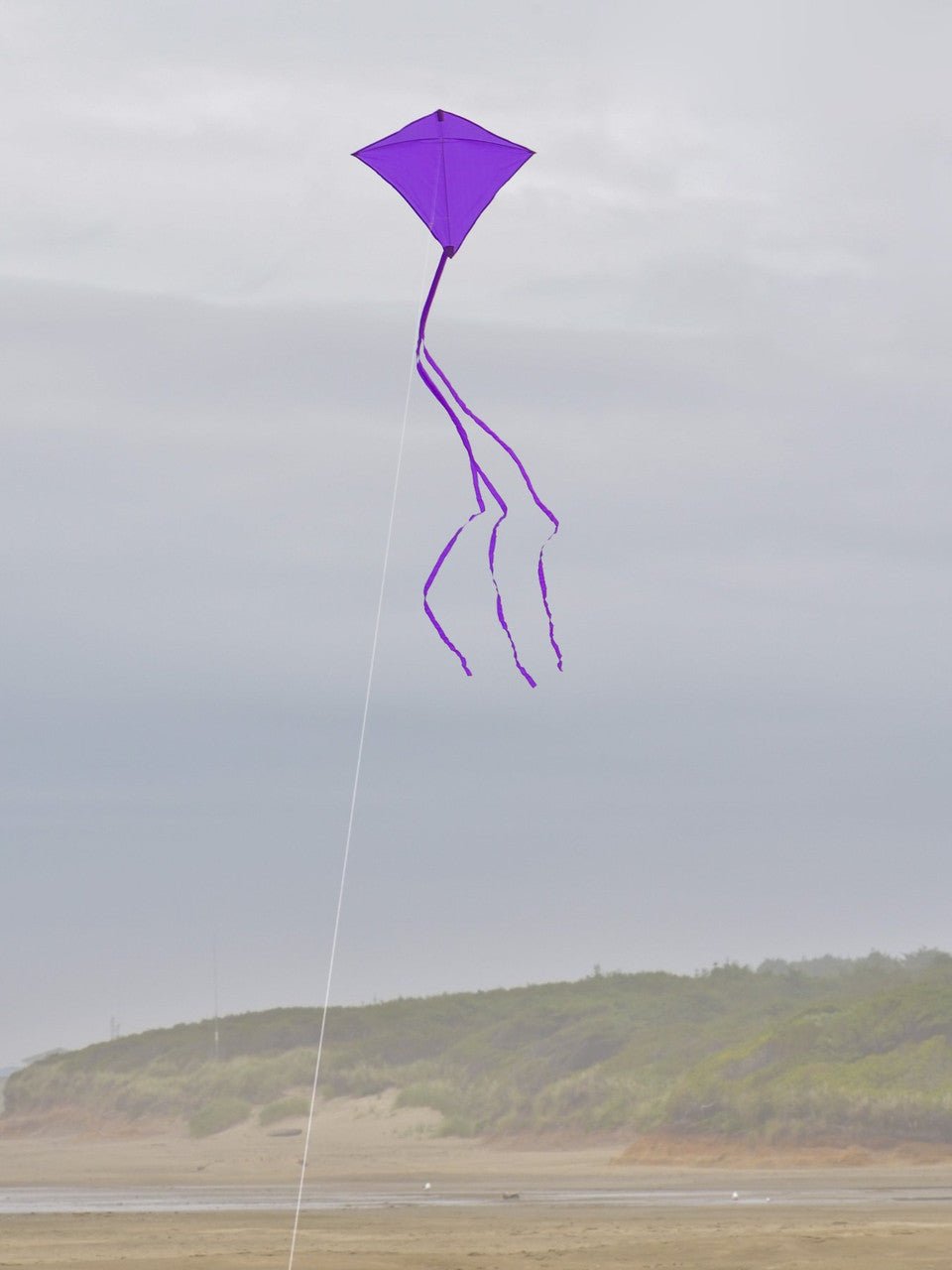 In the Breeze Purple Colorfly 30" Diamond Kite - JCS Wildlife