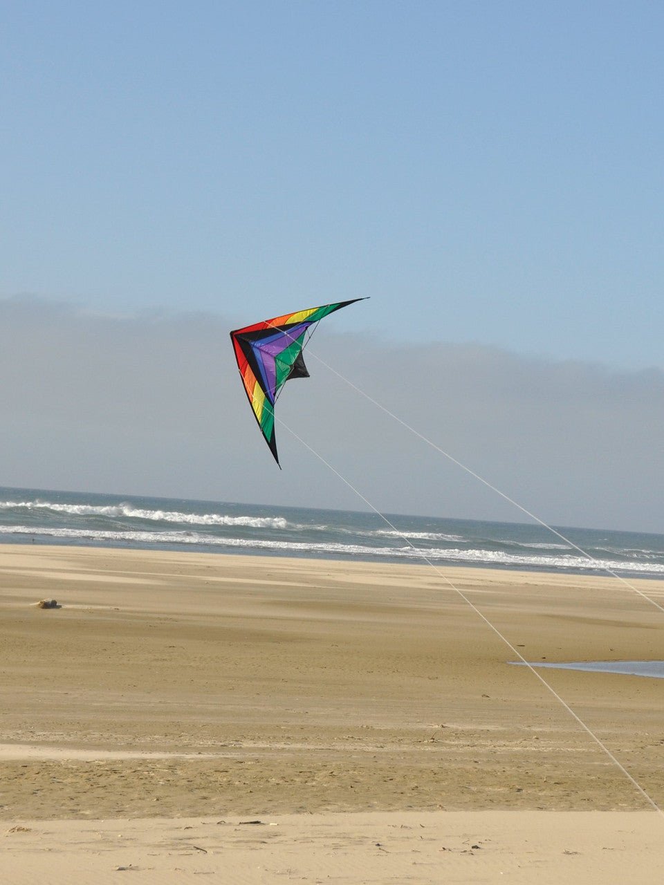 In The Breeze Rainbow Breeze 68" Sport Kite - JCS Wildlife