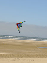 In The Breeze Rainbow Breeze 68" Sport Kite - JCS Wildlife
