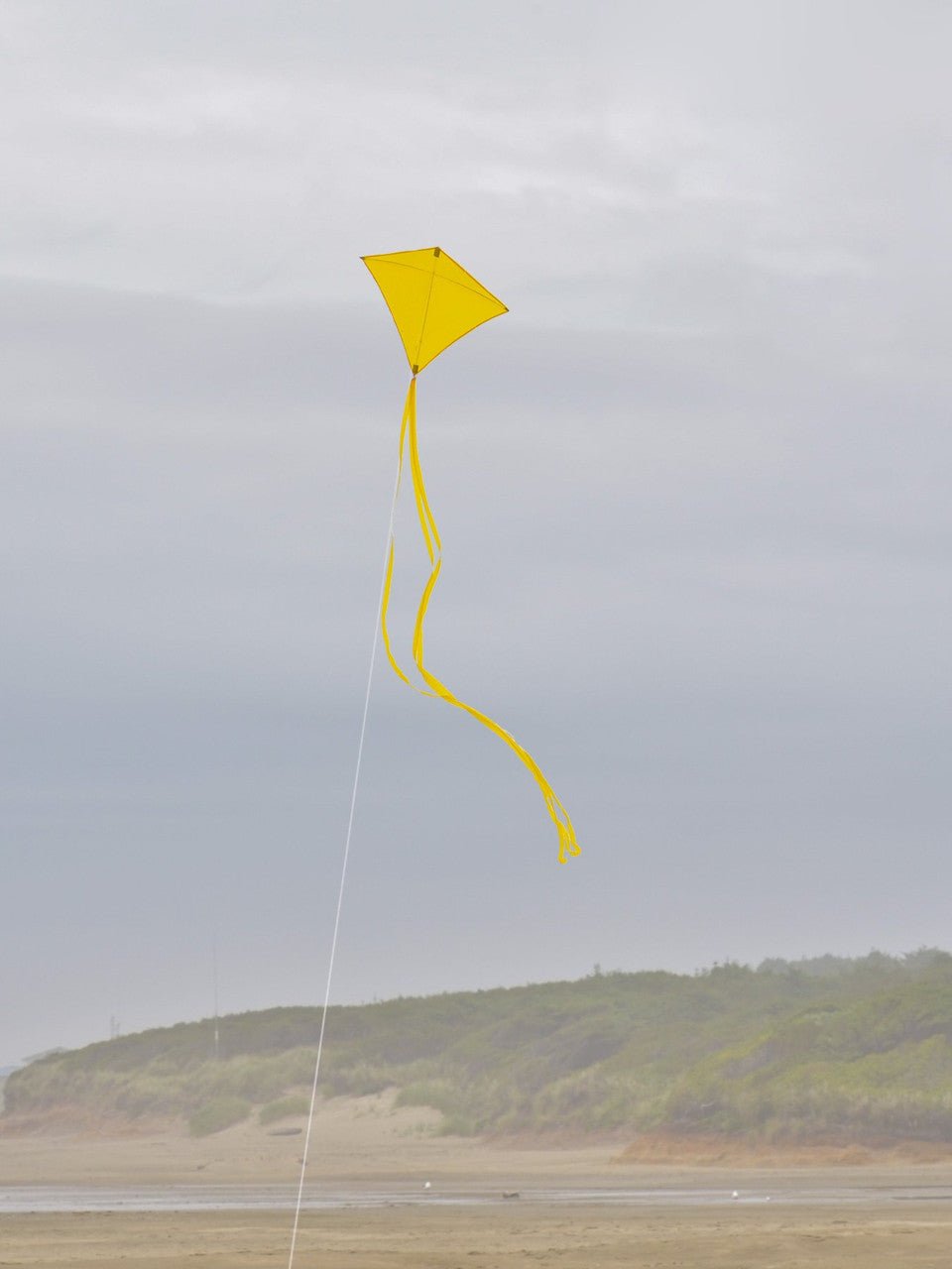 In the Breeze Yellow Colorfly 30" Diamond Kite - JCS Wildlife