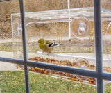 JCS Wildlife All Acrylic Window Bird Feeder - Holds 2 Cups of Bird Seed - JCS Wildlife