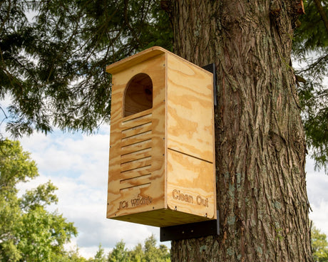 JCS Wildlife Barred Owl Nesting Box - JCS Wildlife
