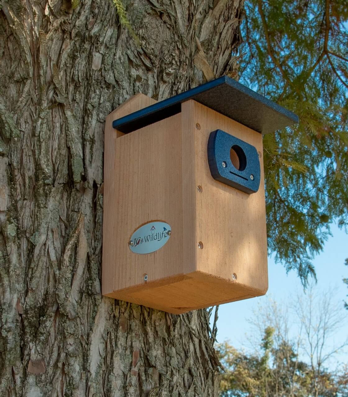 JCS Wildlife Cedar Wood Std. Eastern/Western Bluebird House