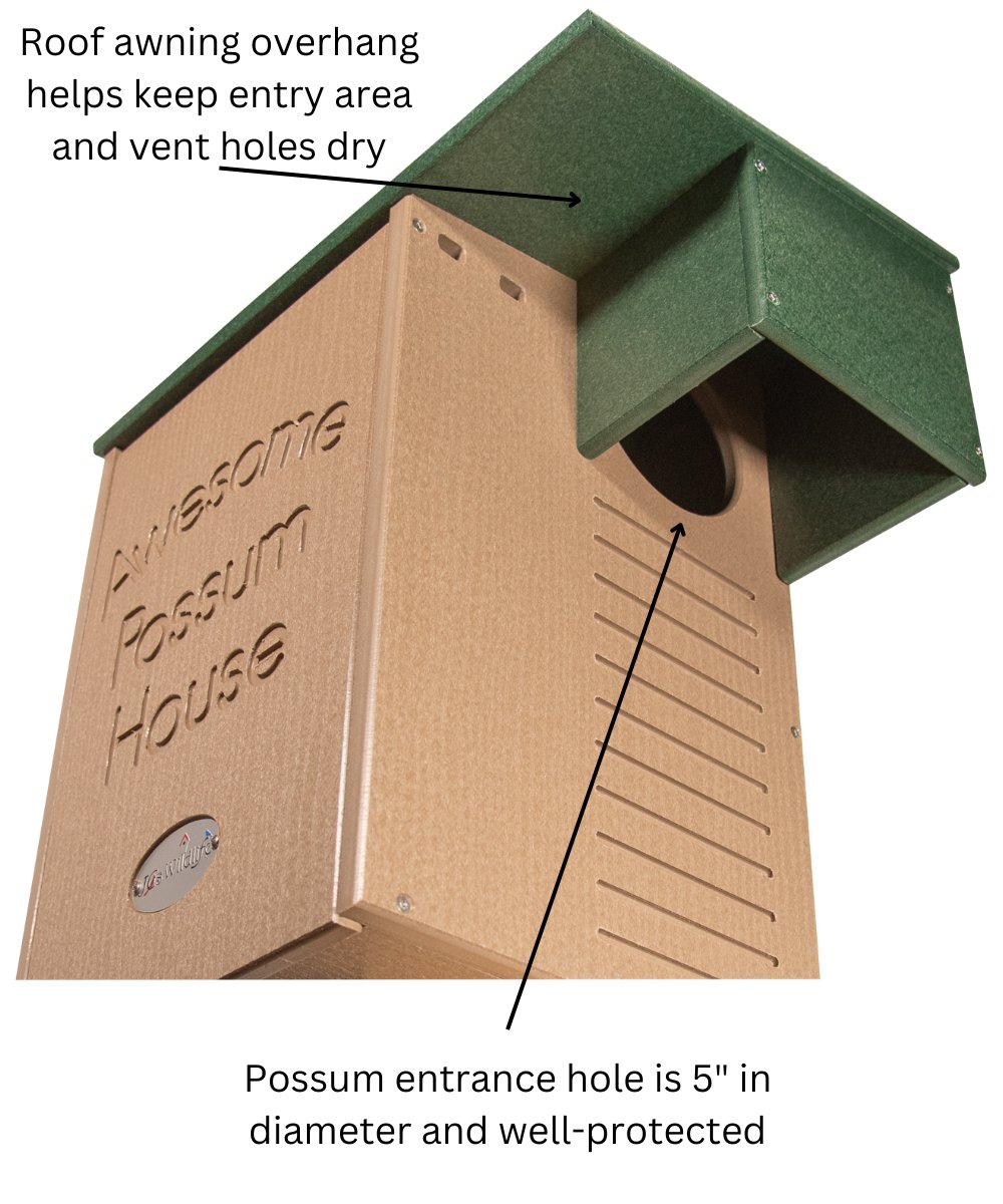 JCS Wildlife Recycled Poly Lumber Awesome Possum House - JCS Wildlife