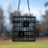 JCs Wildlife Single Suet Cage Bird Feeder hanging outdoors