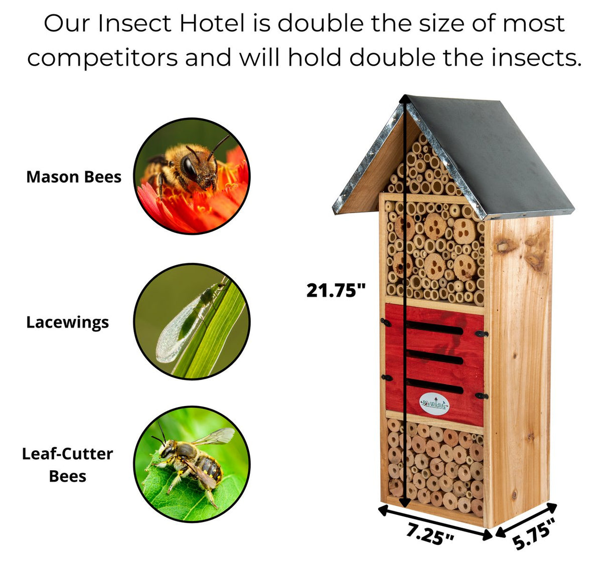 JCS Wildlife Tall Insect Hotel - Great for housing Mason Bees, Leaf-Cutter Bees and Lacewings - JCS Wildlife