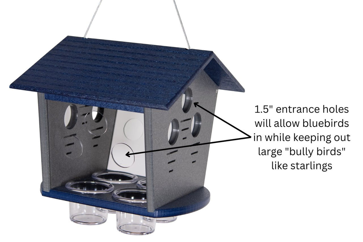 JCS Wildlife Ultimate Enclosed Bluebird Feeder - Keeps Starlings and Bully Birds Out - Holds 2 Cups Dried Mealworms