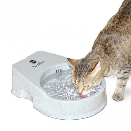K&H Pet Products Cleanflow Cat Water Bowl 2500 Filtered Water Bowl 80 oz. - JCS Wildlife