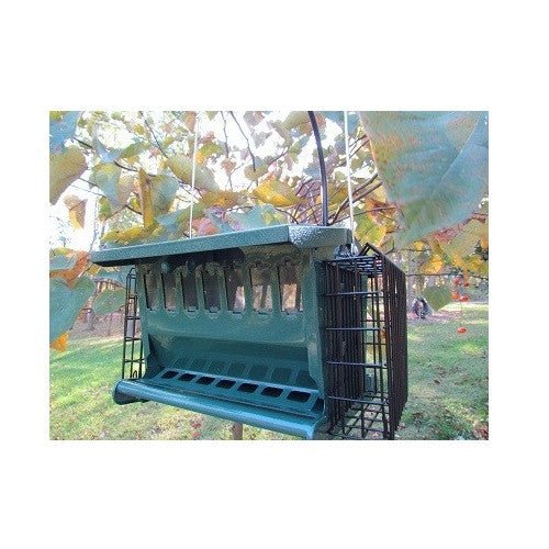 Mini Seeds N More Hopper Feeder by Heritage Farms with 2 suet cages - JCS Wildlife