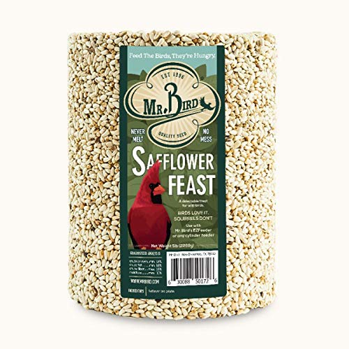 Mr. Bird Safflower Feast Large Wild Bird Seed Cylinder 5 lbs. (1, 2, 4 and  6 Packs)