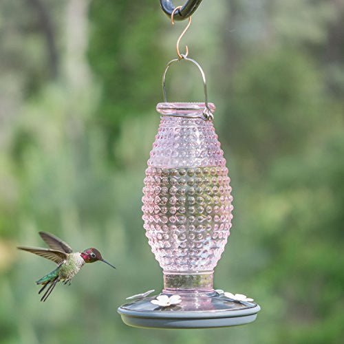 Perky-Pet Hummingbird 16 oz. Glass Nectar Feeder 4 ports Perky-Pet Hummingbird 16 oz. Glass Nectar Feeder 4 ports