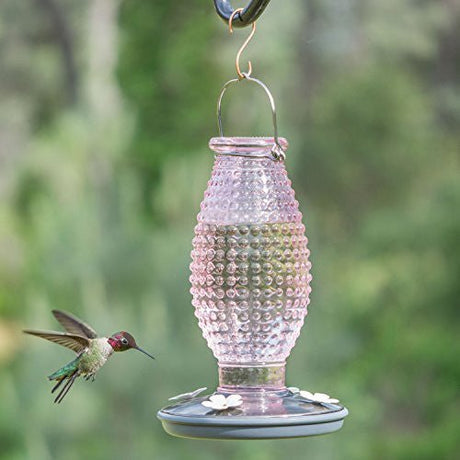 Perky-Pet 8131-2 Cranberry Hobnail Vintage-Style Glass Hummingbird Feeder - JCS Wildlife